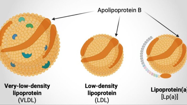 Απλό τεστ μπορεί να προβλέψει τον κίνδυνο καρδιακών παθήσεων καλύτερα από τα τρέχοντα πρότυπα