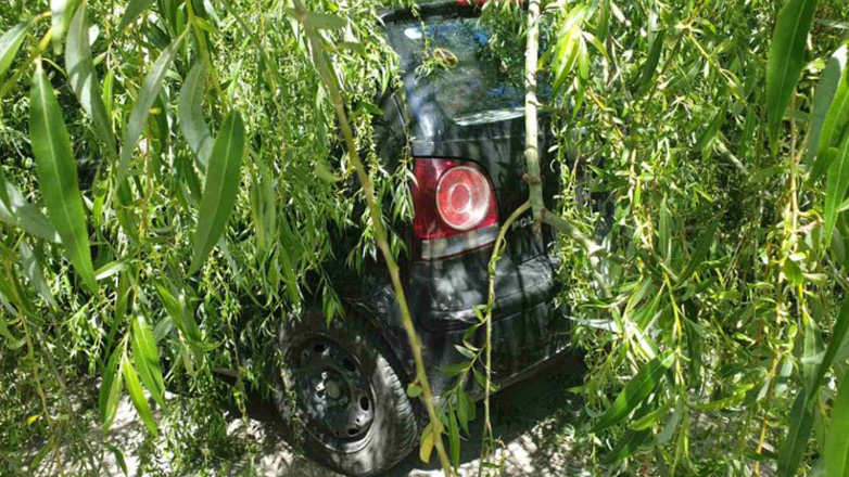 Ιωάννινα : Οι ισχυροί άνεμοι έριξαν δένδρα στο παρκινγκ του ΚΤΕΛ