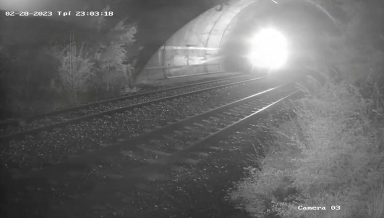 ΕΛ.ΑΣ.: «Οποιαδήποτε αναφορά για την αυθεντικότητα σκοπεύει στον αποπροσανατολισμό» ΕΛ.ΑΣ.: «Οποιαδήποτε αναφορά για την αυθεντικότητα σκοπεύει στον αποπροσανατολισμό»