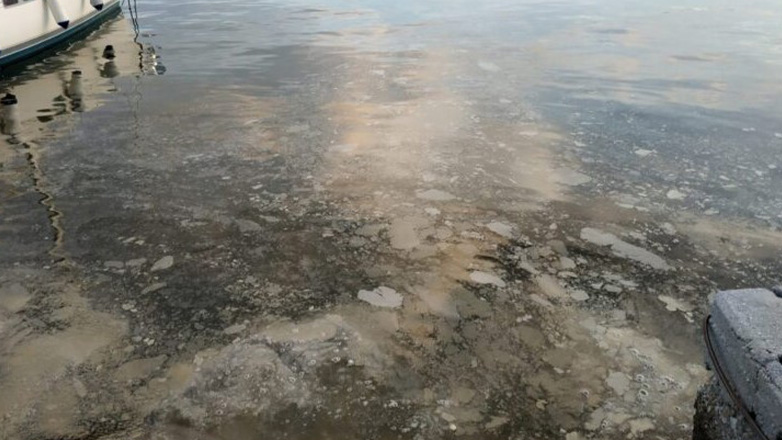 Αφόρητη δυσοσμία από θαλάσσια ρύπανση στο λιμάνι του Βόλου