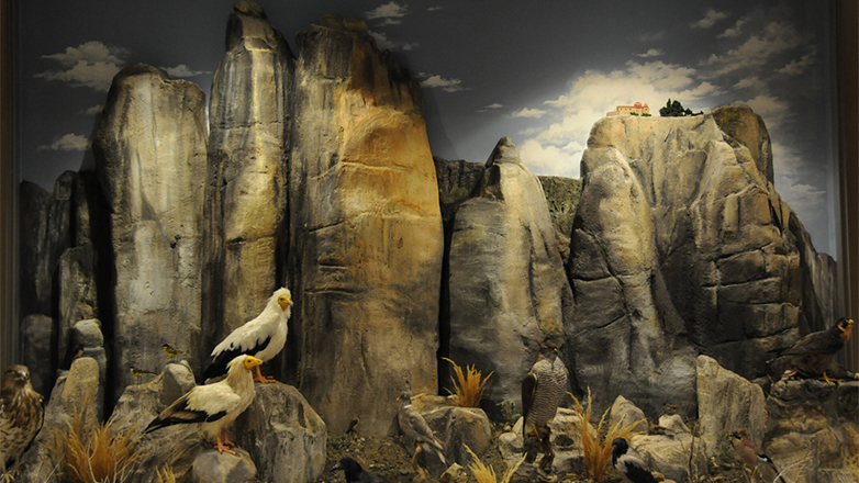 Έκτο στην Ευρώπη το Μουσείο Φυσικής Ιστορίας Μετεώρων και Μουσείο Μανιταριών