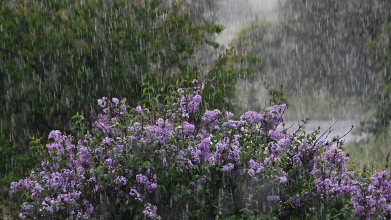 Με πτώση της θερμοκρασίας θα κυλήσει η σημερινή μέρα
