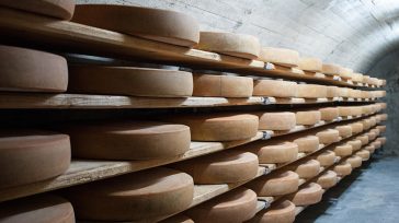 Θεσσαλία: Μεγάλο κύκλωμα απάτης  με «εικονικά τυριά»