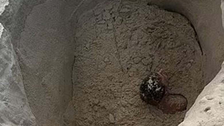 Έσκαψε το… «λάκκο» του – Βίντεο με τουρίστα που βυθιζόταν σε κινούμενη άμμο