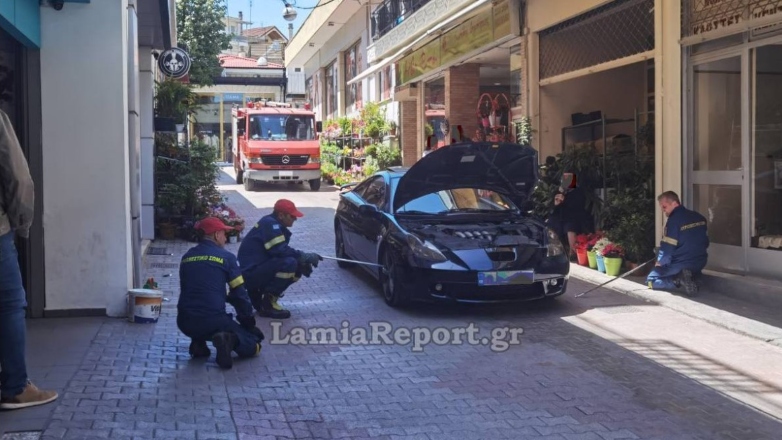 Φίδι μήκους ενός μέτρου τρύπωσε σε αυτοκίνητο στη Λαμία