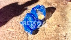 Ο διασώστης μπήκε στον κάδο για να βγάλει το μωρό