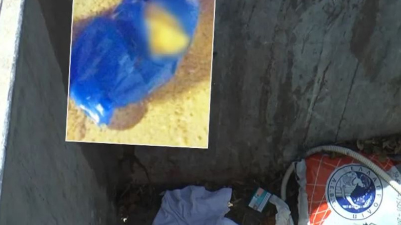 Ηράκλειο: Προφυλακίστηκε η 33χρονη που πέταξε το νεογέννητό της στα σκουπίδια