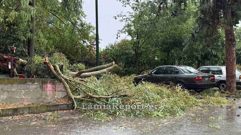 Λαμία: Μπουρίνι έριξε δέντρα και πλημμύρισε σπίτια