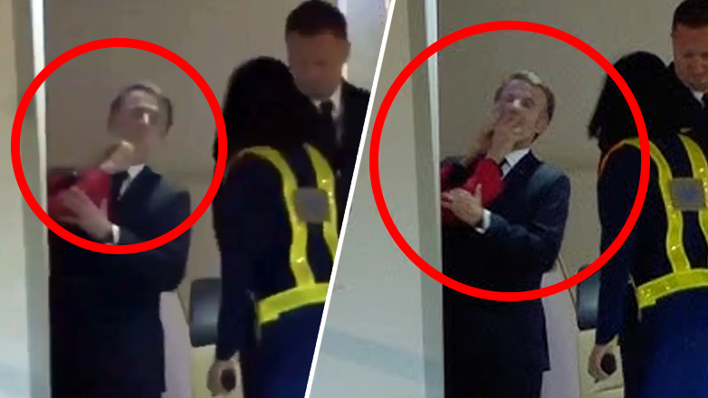 Το ξύλο βγήκε από τον… Παράδεισο