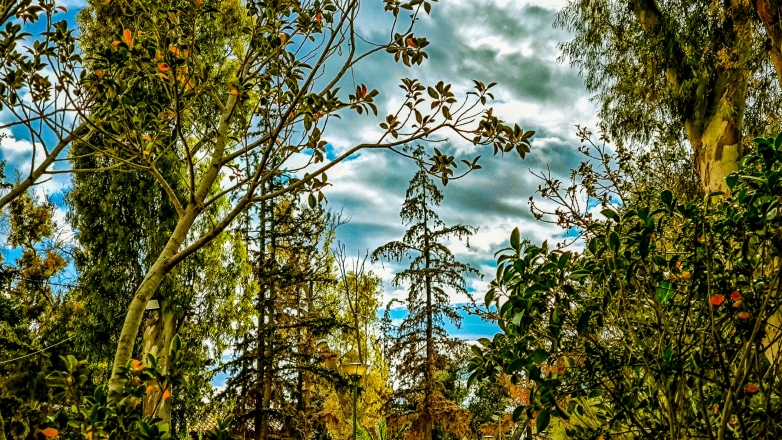 Καιρός: Άνοδος της θερμοκρασίας