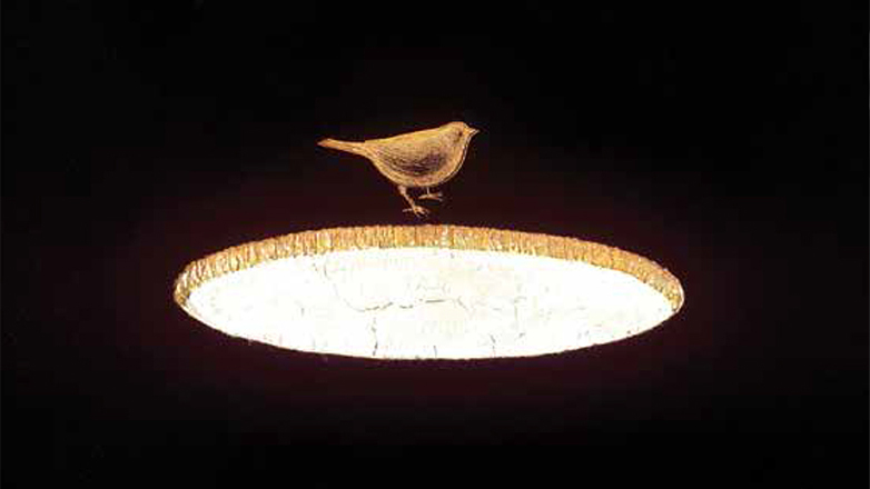 «Αθωότητα»: Το καινούργιο βιβλίο του Βαγγέλη Ραπτόπουλου