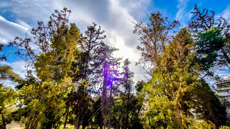 Μπόρες σήμερα και… Καλοκαίρι αύριο