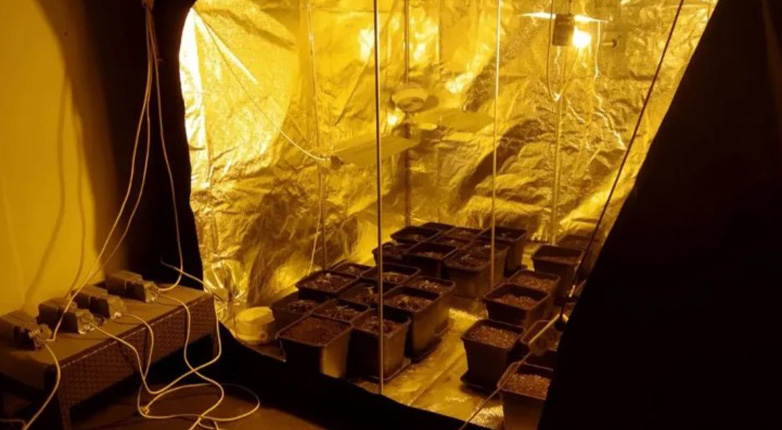 Θεσσαλονίκη:  Βρήκαν σε διαμέρισμα αυτοσχέδιο εργαστήριο υδροπονικής καλλιέργειας κάνναβης