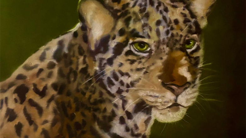 Όλγα Καραδήμου – «Sauvage»: Έκθεση στο Ιστορικό Αρχείο Μουσείο Ύδρας