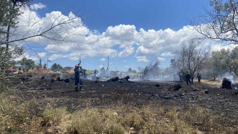 Φωτιά σε χαμηλή βλάστηση στην Βαρυμπόμπη