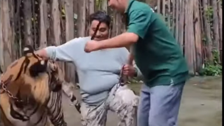 Ταϊλάνδη: Ήθελε να βγάλει… σέλφι με τίγρη και αυτή του επιτέθηκε