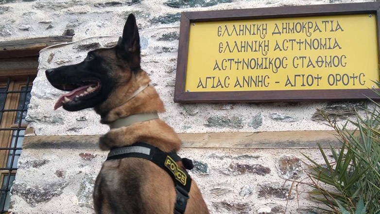 Βγαίνει στη σύνταξη ο Όσκαρ ο πιο διάσημος σκύλος περιπολίας της ΕΛΑΣ