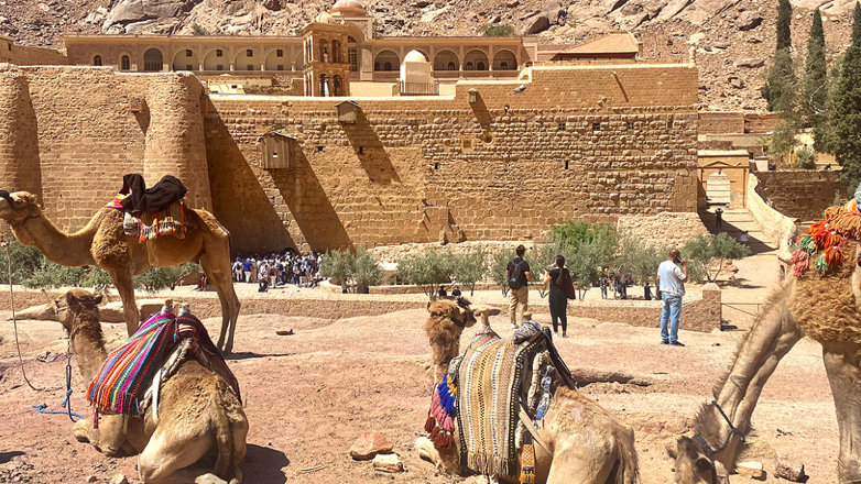 Φαραντούρης: «Να επανεξετάσει η Κομισιόν το πακέτο των 4 δισ. προς την Αίγυπτο»