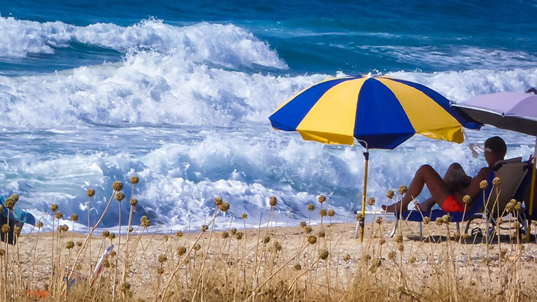 Ξεκινά την Τρίτη η υποβολή αιτήσεων για τα υπόλοιπα Προγράμματα Αγροτικής Εστίας
