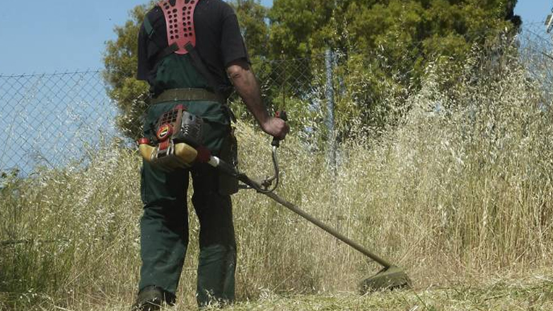 Σχεδόν 320.000 οι δηλώσεις καθαρισμών οικοπέδων
