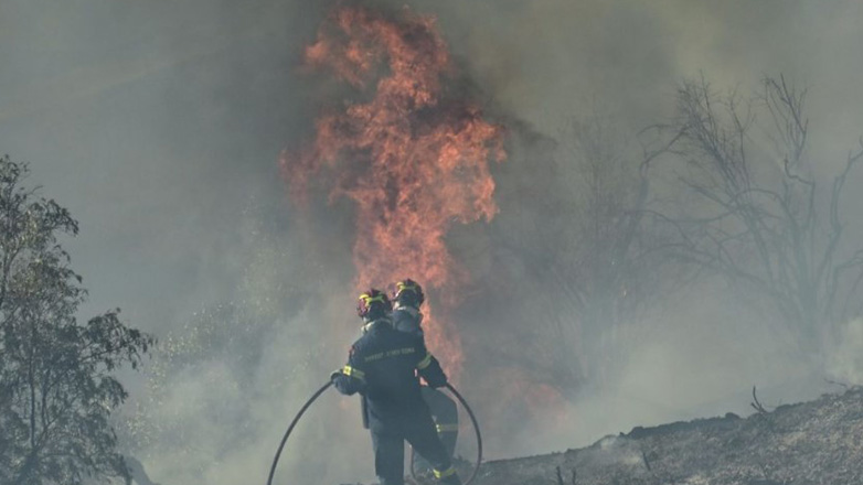 Υπό έλεγχο η φωτιά στη Μεσσηνία
