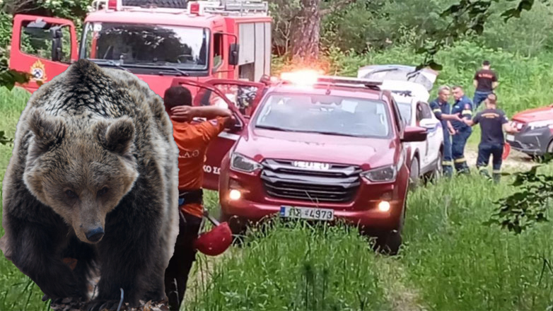 Αγωνία για τον ορειβάτη που δέχθηκε επίθεση από αρκούδα και έπεσε σε γκρεμό 1.000 μέτρων