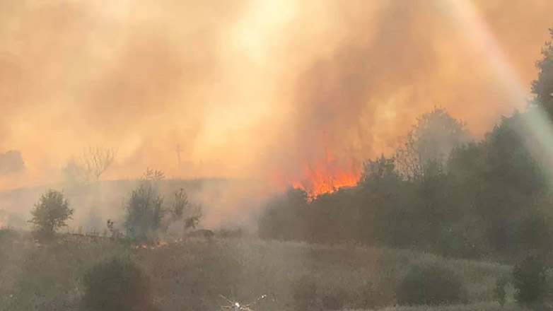 Θεσσαλονίκη: Τρεις συλλήψεις για τις πυρκαγιές σε Ωραιόκαστρο και Πυλαία