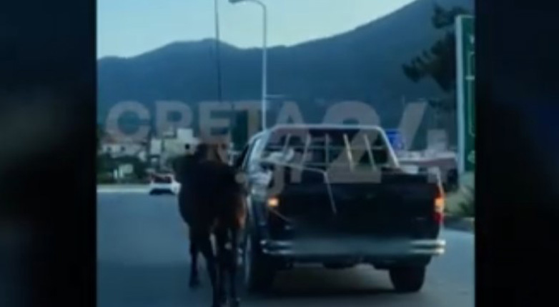 Ηράκλειο: Οδηγός έσερνε δεμένο άλογο με το αγροτικό