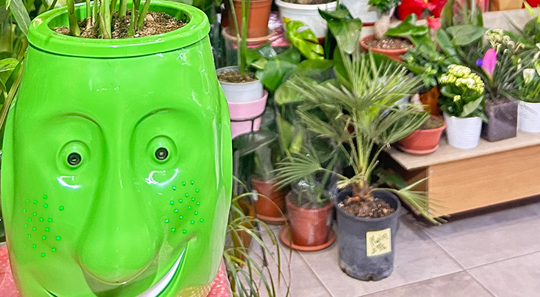 Θεσσαλονίκη: Billy Billy το πρώτο ρομπότ- γλάστρα σε ανθοπωλείο που μιλάει με φυσική φωνή