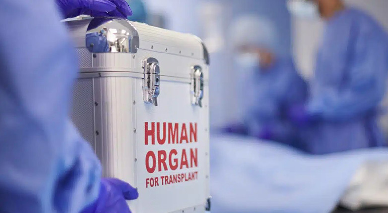 Λαμία: Δωρεά ζωής από 69χρονο με εγκεφαλική αιμορραγία