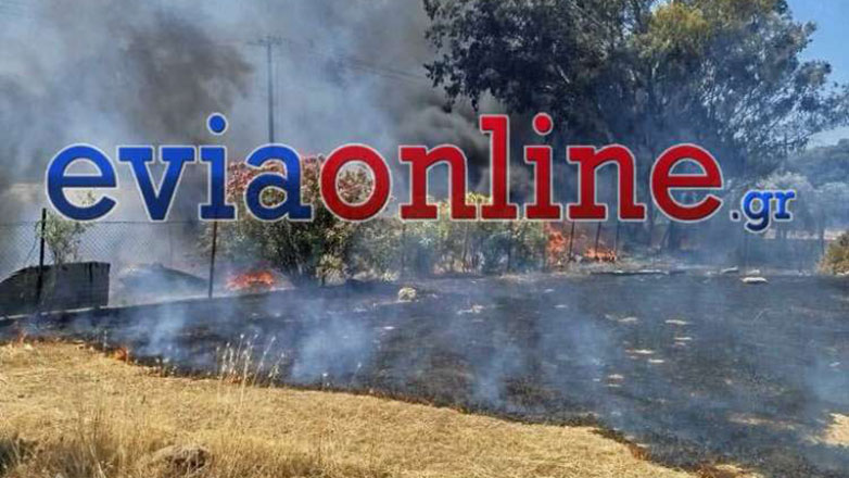 Εύβοια: Φωτιά στο Μηλάκι