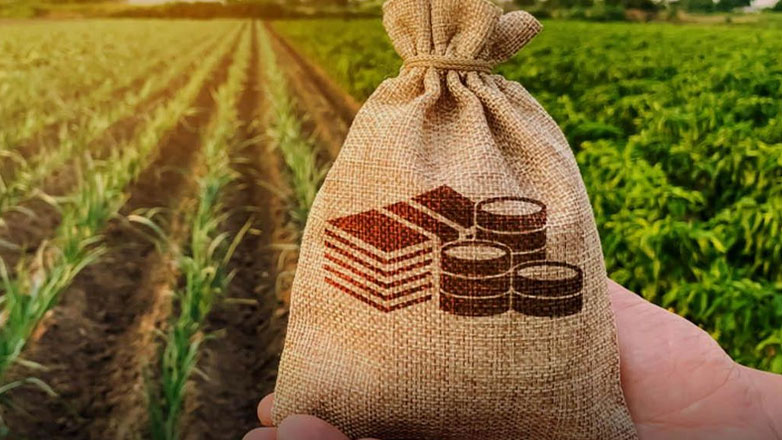 Έως τις αρχές Σεπτεμβρίου οι αιτήσεις για επενδύσεις στη μεταποίηση και την εμπορία αγροτικών προϊόντων