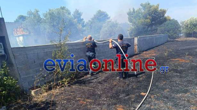 Φωτιά στην Ερέτρια