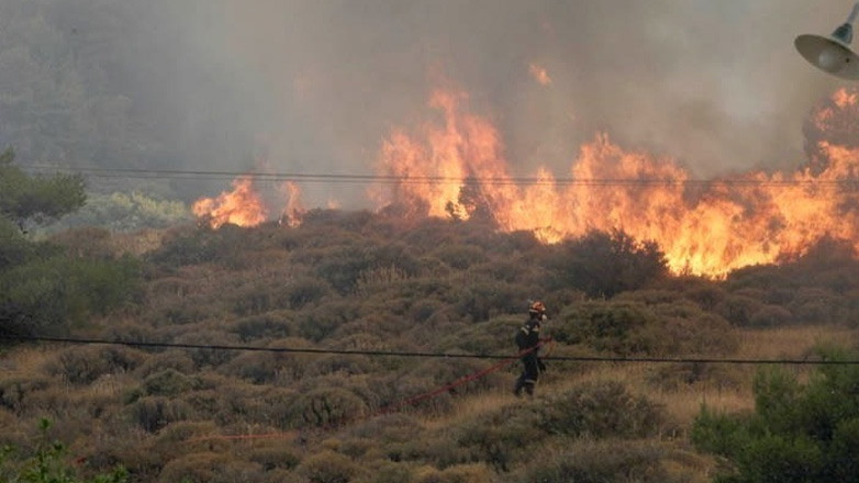 Χωρίς ενεργό μέτωπο η πυρκαγιά σε δασική έκταση στη Νάξο