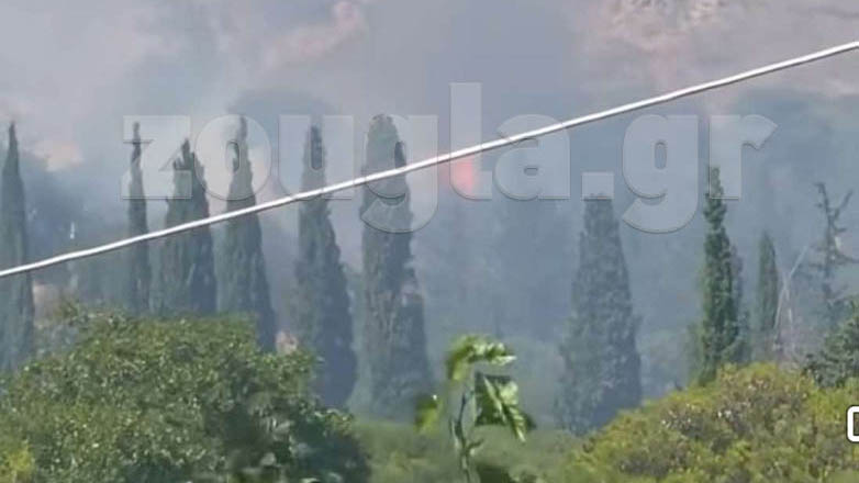 Φωτιά στην Πεντέλη