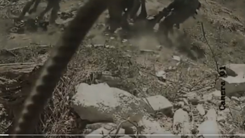 Βίντεο της Χαμάς από ενέδρα σε ισραηλινούς στρατιώτες