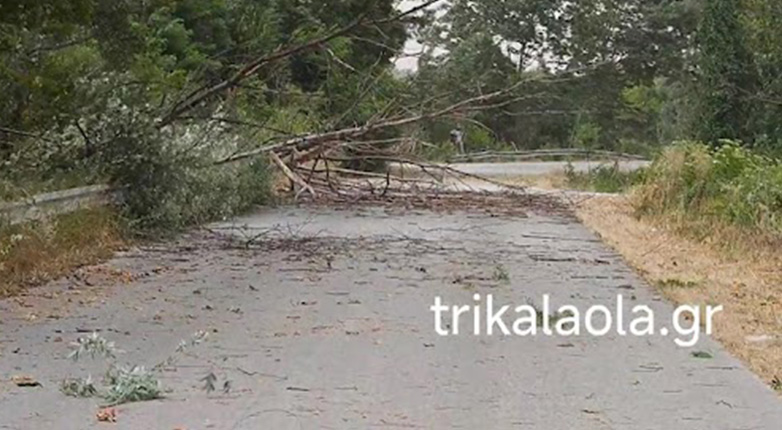 Έπεσαν δένδρα στα Τρίκαλα από τους ισχυρούς ανέμους