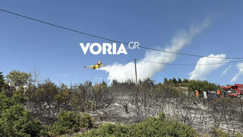 Υπό έλεγχο η φωτιά στην Ευκαρπία
