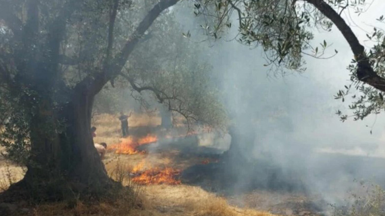 Φωτιά σε αγροτική περιοχή στην Μυτιλήνη