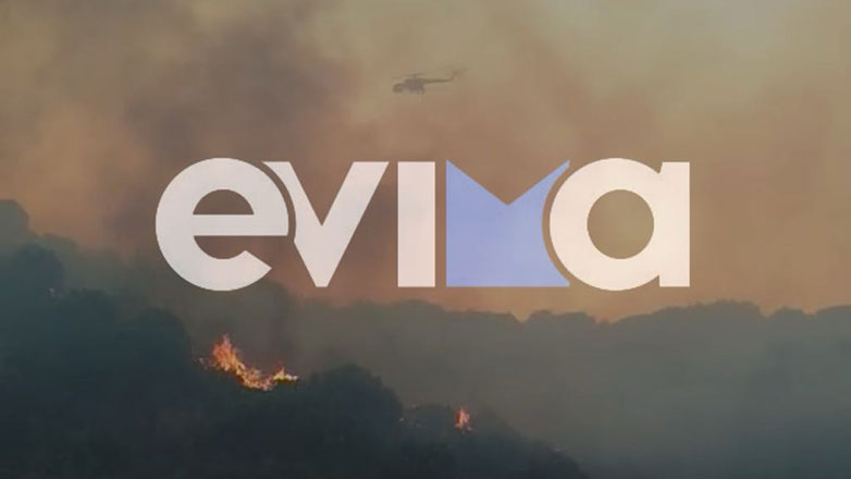 Εύβοια: Υπό έλεγχο η φωτιά στην περιοχή Τσακαίοι