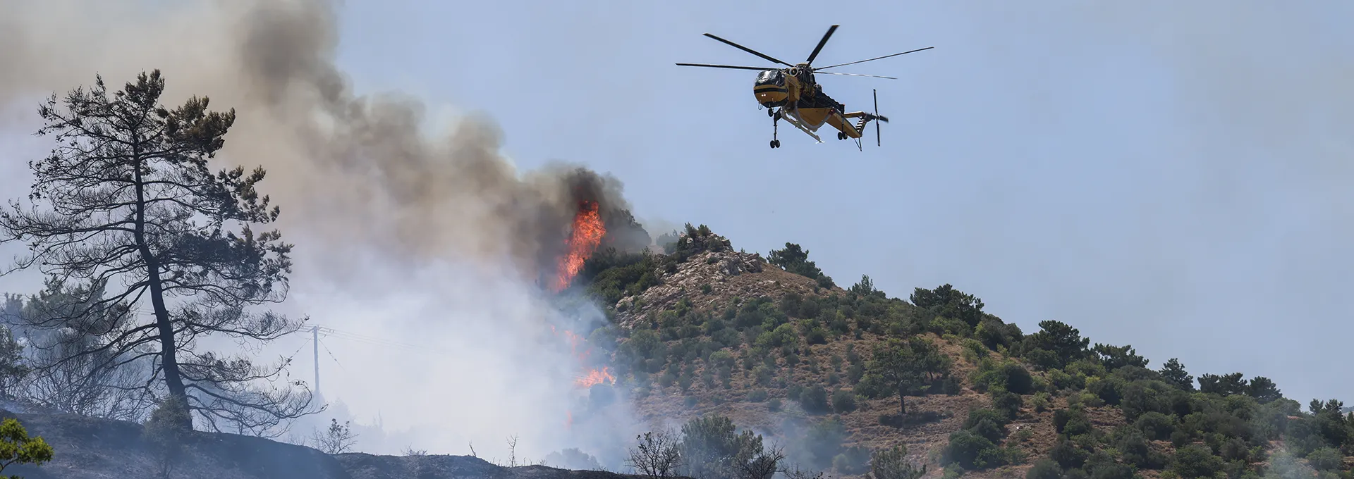 Κεφαλονιά: Σε πλήρη εξέλιξη η πυρκαγιά στα Μεταξάτα