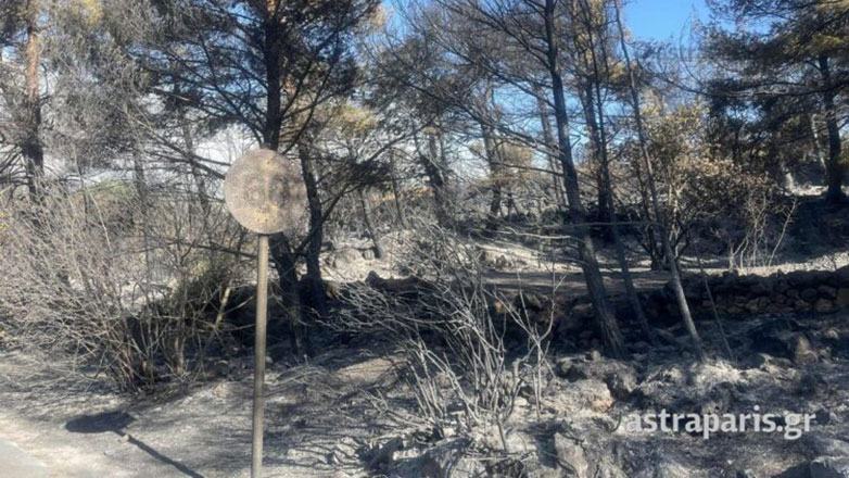 Χίος: Σε κατάσταση έκτακτης ανάγκης μέχρι τις 22 Ιουλίου, λόγω των πυρκαγιών