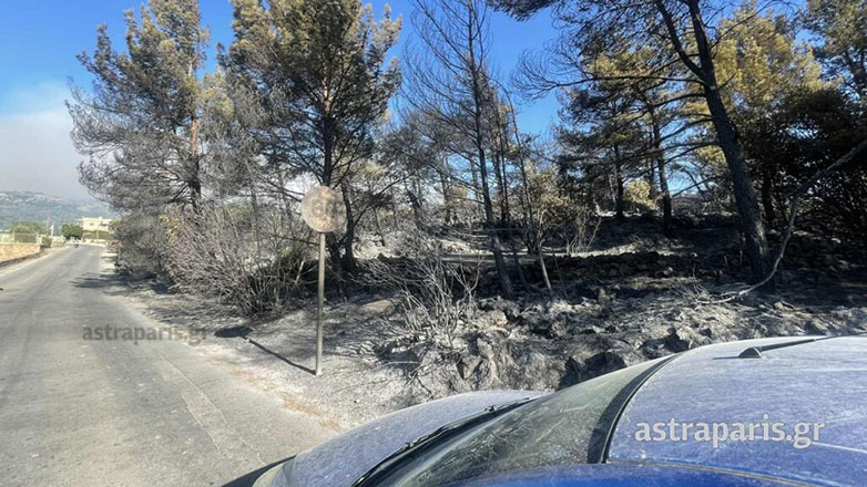 Χίος: Σε Δαφνώνα και μονή Αγίου Μάρκου τα μέτωπα της φωτιάς