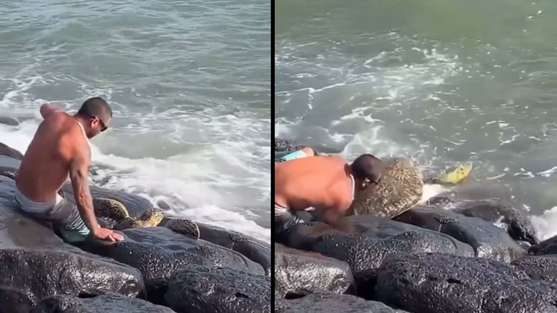 Βοήθεια σε μια θαλάσσια χελώνα που κόλλησε σε βράχια