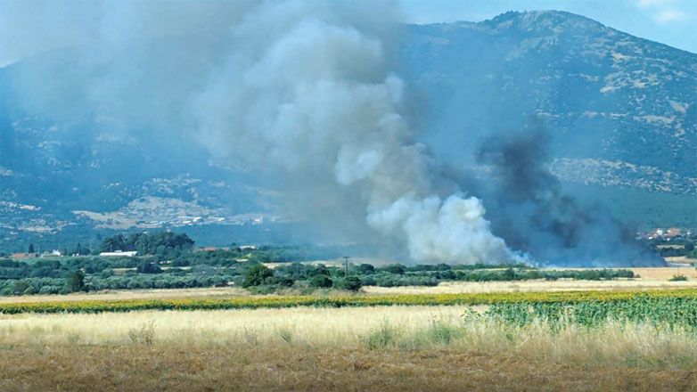 Φωτιά στην περιοχή Χωριστή της Δράμας