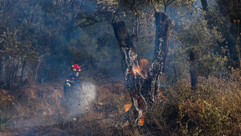 Ξεπερνούν τα 40.000 στρέμματα οι καμένες εκτάσεις στη Χίο