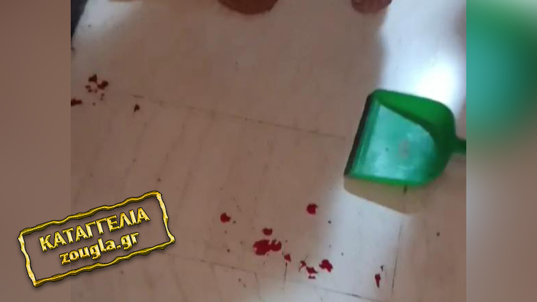 Βύρωνας: Τον κάρφωσε με κατσαβίδι επειδή της έκανε παρατήρηση για τον σκύλο της