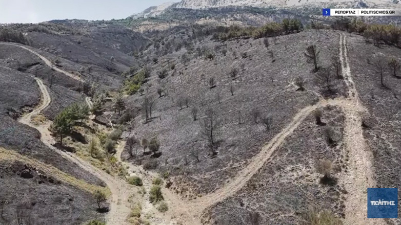 Φωτιά στη Χίο: Στάχτη δεκάδες χιλιάδες στρέμματα