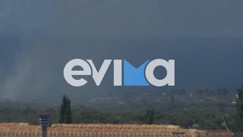 Φωτιά στα Λουκίσια  Χαλκίδας