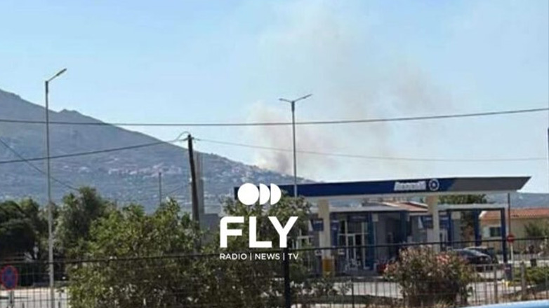 Φωτιά στη Νεάπολη Λακωνίας